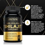 শিলাজিৎ ক্যাপসুল 30 পিস X 1